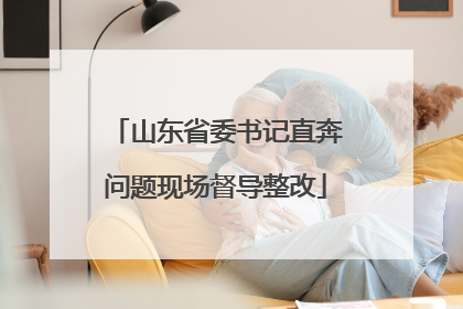 山东省委书记直奔问题现场督导整改