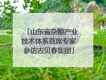 山东省杂粮产业技术体系首席专家参访古贝春集团