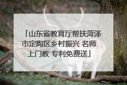 山东省教育厅帮扶菏泽市定陶区乡村振兴 名师上门教 专利免费送