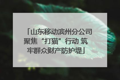 山东移动滨州分公司聚焦“打猫”行动 筑牢群众财产防护堤