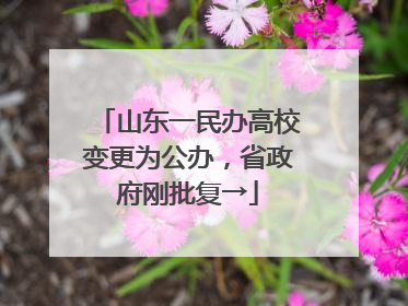 山东一民办高校变更为公办，省政府刚批复→