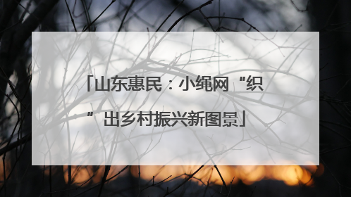 山东惠民：小绳网“织”出乡村振兴新图景