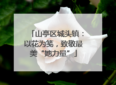 山亭区城头镇：以花为笺，致敬最美“她力量”