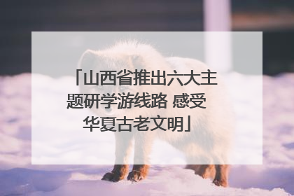 山西省推出六大主题研学游线路 感受华夏古老文明