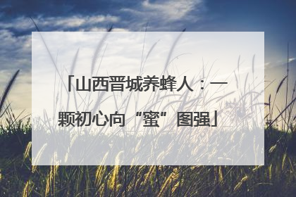 山西晋城养蜂人：一颗初心向“蜜”图强