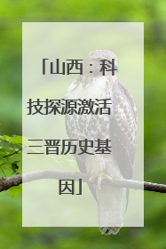 山西：科技探源激活三晋历史基因