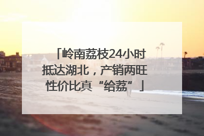 岭南荔枝24小时抵达湖北，产销两旺性价比真“给荔”