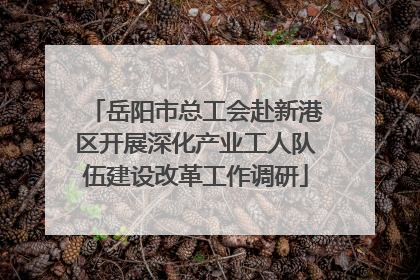 岳阳市总工会赴新港区开展深化产业工人队伍建设改革工作调研