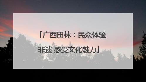 广西田林：民众体验非遗 感受文化魅力