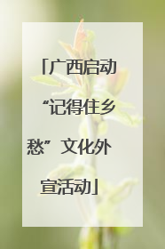 广西启动“记得住乡愁”文化外宣活动