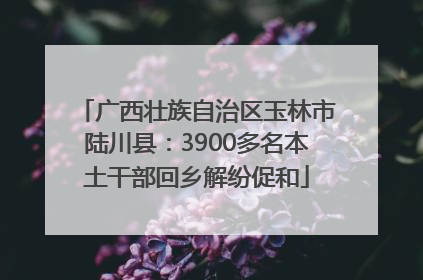 广西壮族自治区玉林市陆川县：3900多名本土干部回乡解纷促和