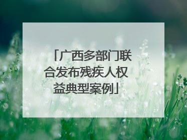 广西多部门联合发布残疾人权益典型案例