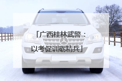广西桂林武警：以考促训砺精兵