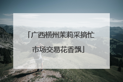 广西横州茉莉采摘忙 市场交易花香飘