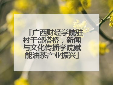 广西财经学院驻村干部搭桥，新闻与文化传播学院赋能油茶产业振兴