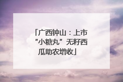 广西钟山：上市“小糖丸”无籽西瓜助农增收