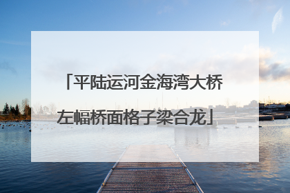 平陆运河金海湾大桥左幅桥面格子梁合龙