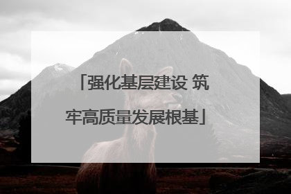 强化基层建设 筑牢高质量发展根基