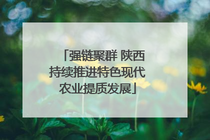 强链聚群 陕西持续推进特色现代农业提质发展