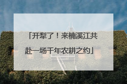 开犁了！来楠溪江共赴一场千年农耕之约