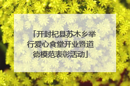 开封杞县苏木乡举行爱心食堂开业暨道德模范表彰活动