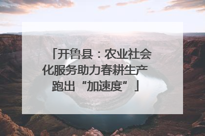 开鲁县：农业社会化服务助力春耕生产跑出“加速度”