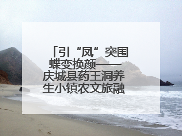 引“凤”突围 蝶变换颜——庆城县药王洞养生小镇农文旅融合发展纪实