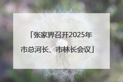 张家界召开2025年市总河长、市林长会议