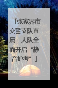 张家界市交警支队直属二大队全面开启“静音护考”