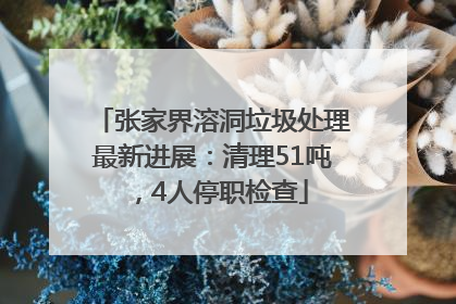 张家界溶洞垃圾处理最新进展：清理51吨，4人停职检查