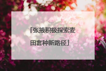 张掖积极探索麦田套种新路径