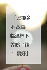张掖乡村故事｜临泽林下养鹅“钱”景好