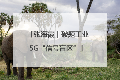 张海霞｜破题工业5G“信号盲区”