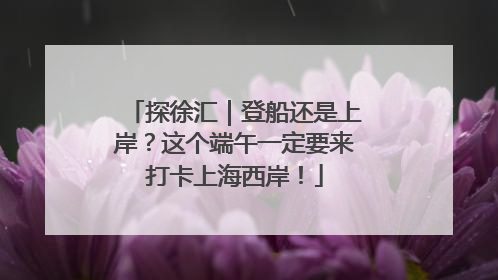 探徐汇｜登船还是上岸？这个端午一定要来打卡上海西岸！