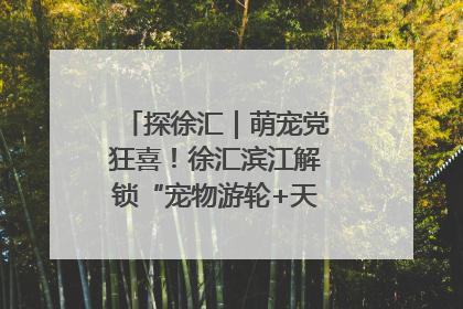 探徐汇｜萌宠党狂喜！徐汇滨江解锁“宠物游轮+天台乐园”双玩法