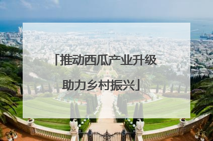 推动西瓜产业升级 助力乡村振兴