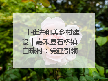 推进和美乡村建设｜嘉禾县石桥镇白珠村：党建引领破“空”局 乡贤聚力绘就新图景