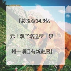 总投资14.3亿元！双子塔造型！泉州一项目有新进展