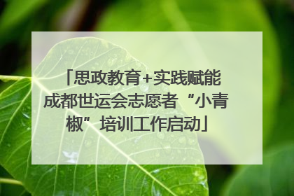 思政教育+实践赋能 成都世运会志愿者“小青椒”培训工作启动