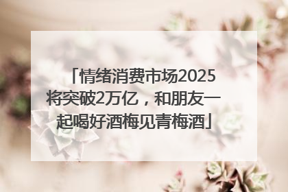 情绪消费市场2025将突破2万亿，和朋友一起喝好酒梅见青梅酒