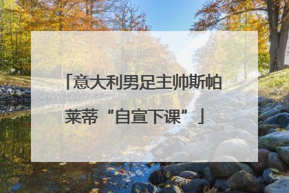 意大利男足主帅斯帕莱蒂“自宣下课”