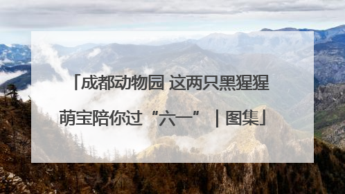成都动物园 这两只黑猩猩萌宝陪你过“六一”｜图集