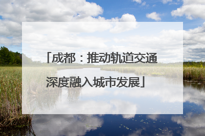 成都：推动轨道交通深度融入城市发展
