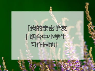 我的亲密挚友｜烟台中小学生习作园地