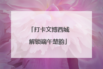打卡文博西城 解锁端午楚韵