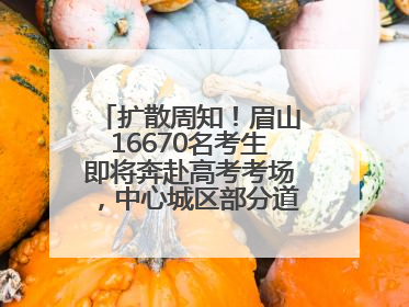扩散周知！眉山16670名考生即将奔赴高考考场，中心城区部分道路将禁止通行