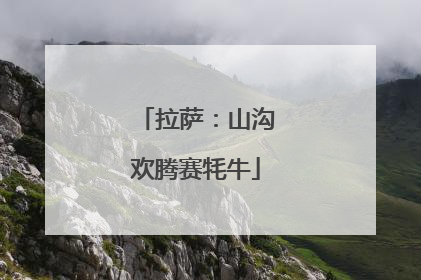 拉萨：山沟欢腾赛牦牛