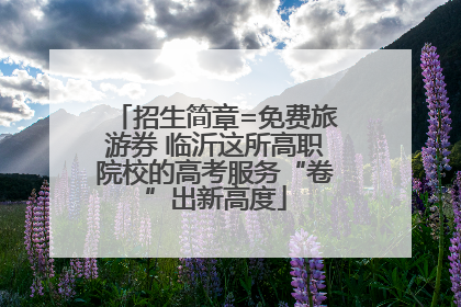 招生简章=免费旅游券 临沂这所高职院校的高考服务“卷”出新高度