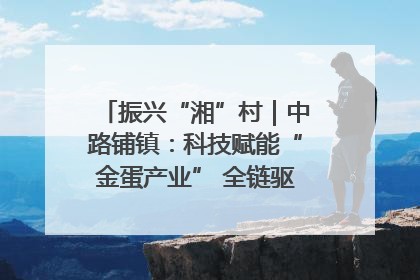 振兴“湘”村｜中路铺镇：科技赋能“金蛋产业” 全链驱动乡村振兴