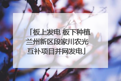 板上发电 板下种植 兰州新区段家川农光互补项目并网发电
